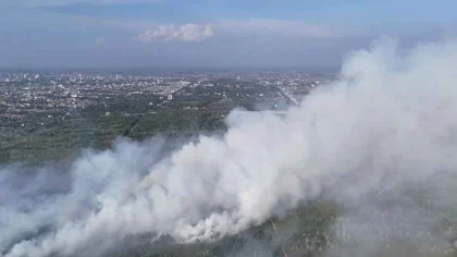 Kabut asap