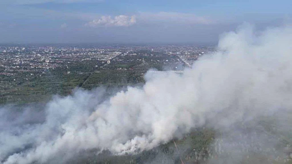 Kabut asap